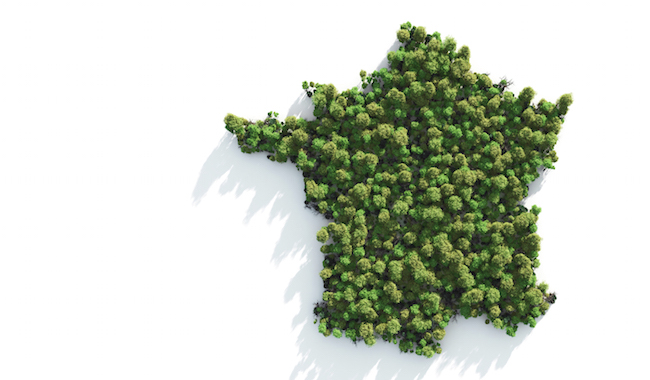 Green France Carte France verte